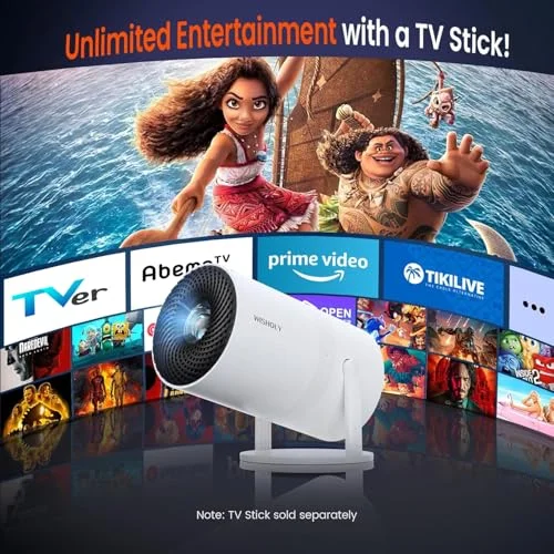 Endless Streaming With a TV Stick