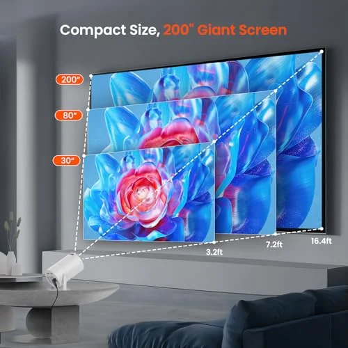 Up to a 200" Giant Screen